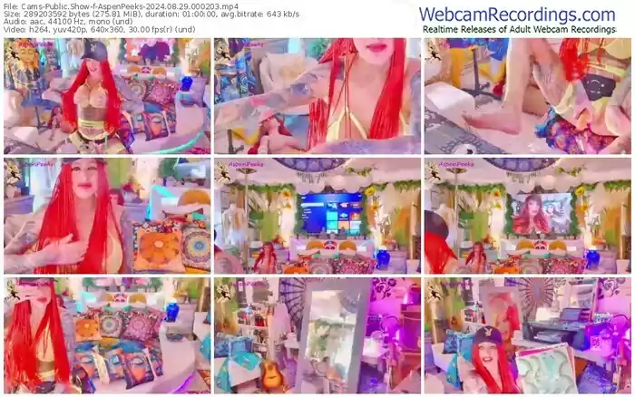 cams-aspenpeeks-08-29-2024-00-02-03