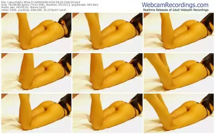 cams-carina008-08-29-2024-22-41-34