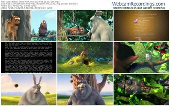 cams-ff_mur-08-29-2024-01-12-54