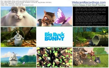 cams-ff_mur-08-29-2024-07-43-17