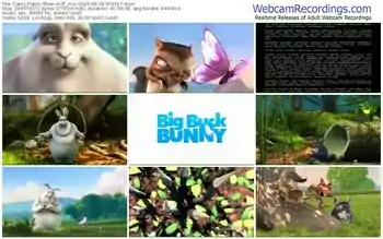 cams-ff_mur-08-29-2024-07-43-17