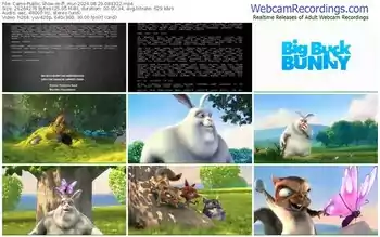 cams-ff_mur-08-29-2024-08-43-22