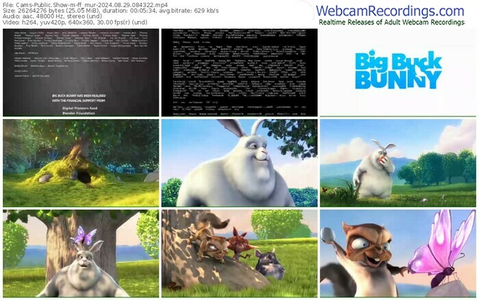 cams-ff_mur-08-29-2024-08-43-22