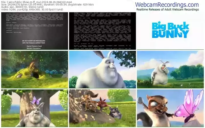 cams-ff_mur-08-29-2024-08-43-22