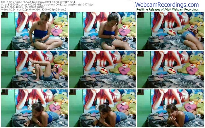 cams-aniehorny-08-30-2024-22-33-42