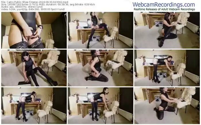 cams-hanei-08-30-2024-02-30-42