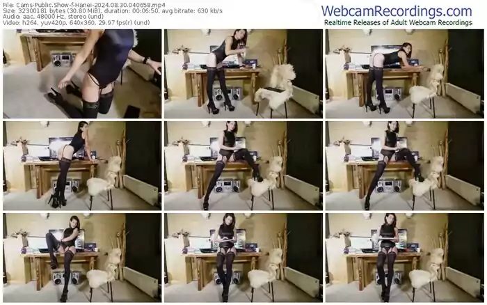 cams-hanei-08-30-2024-04-06-58