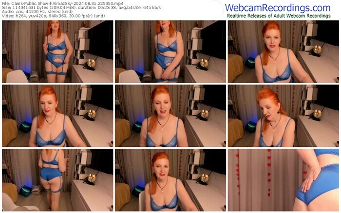 cams-almazsky-08-31-2024-22-53-50