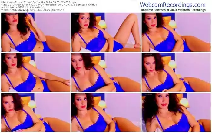 cams-perfectits-08-31-2024-02-48-52
