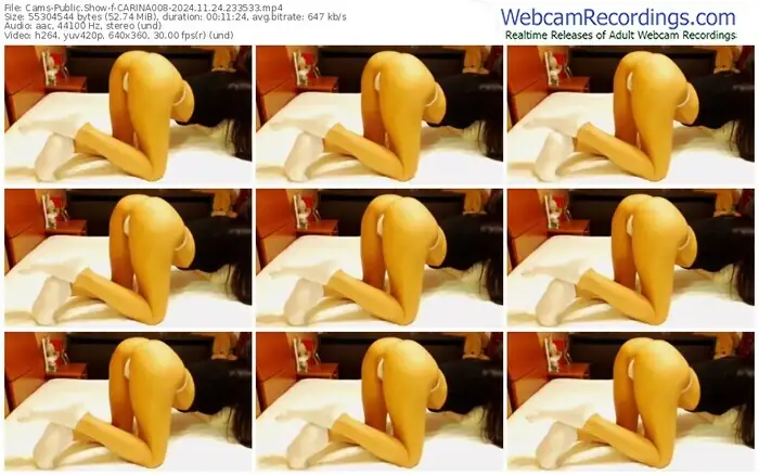 cams-carina008-11-24-2024-23-35-33