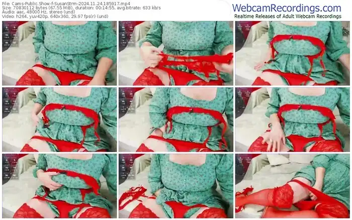 cams-susanstrm-11-24-2024-18-59-17