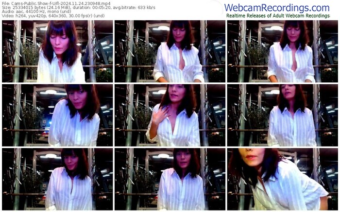 cams-uifl-11-24-2024-23-09-48