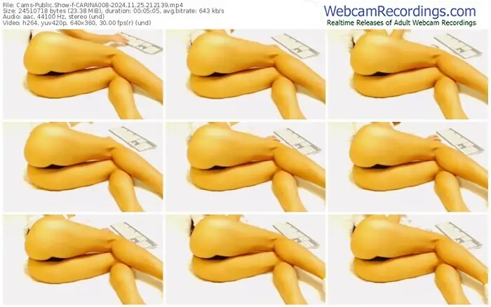 cams-carina008-11-25-2024-21-21-39