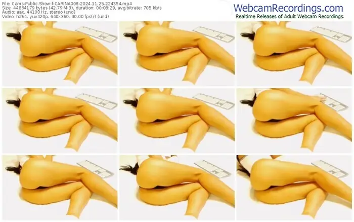 cams-carina008-11-25-2024-22-43-54