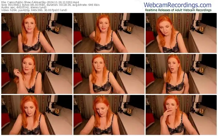 cams-almazsky-11-26-2024-11-32-02