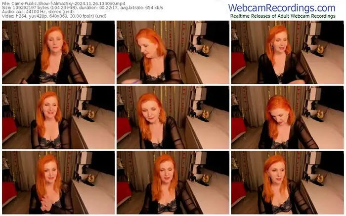 cams-almazsky-11-26-2024-13-40-50