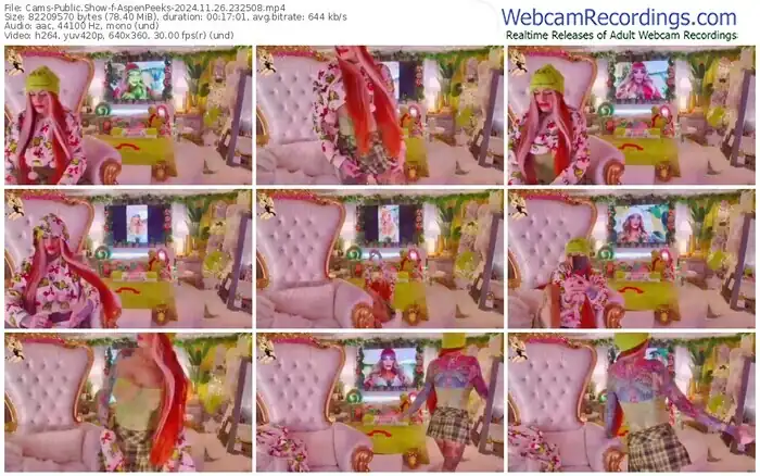 cams-aspenpeeks-11-26-2024-23-25-08