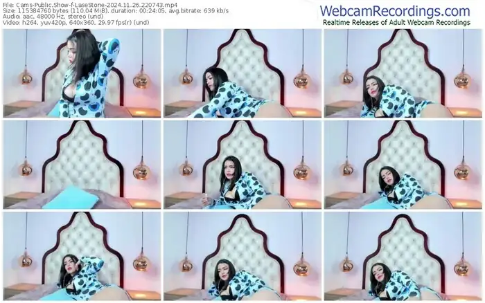 cams-lasestone-11-26-2024-22-07-43