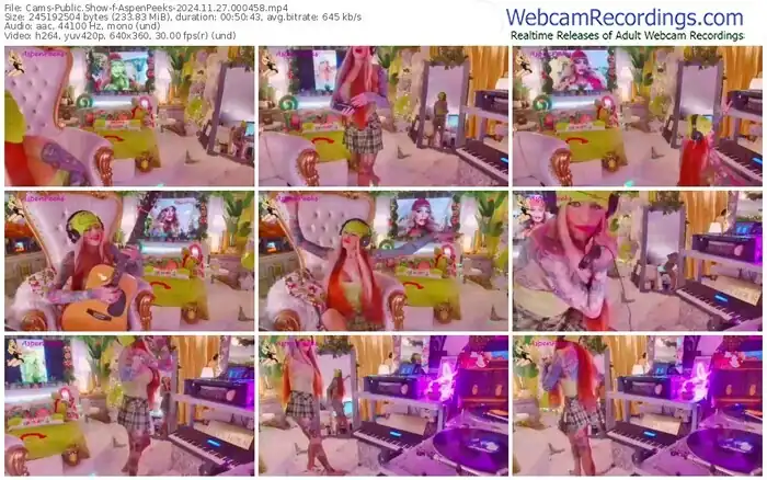 cams-aspenpeeks-11-27-2024-00-04-58