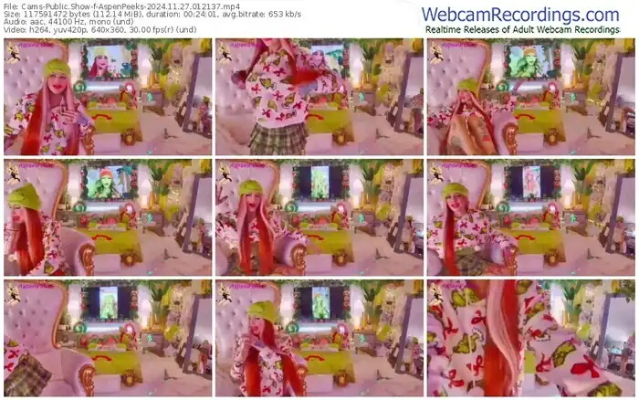 cams-aspenpeeks-11-27-2024-01-21-37