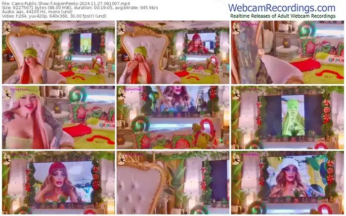 cams-aspenpeeks-11-27-2024-06-10-07