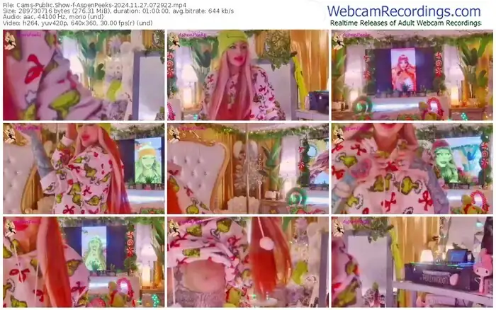 cams-aspenpeeks-11-27-2024-07-29-22