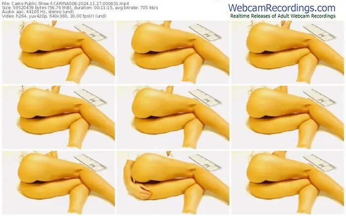 cams-carina008-11-27-2024-00-06-31