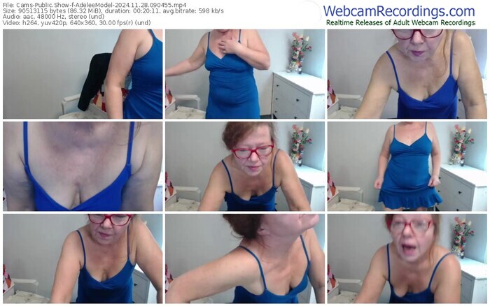 cams-adeleemodel-11-28-2024-09-04-55