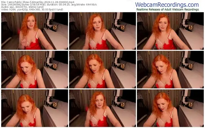 cams-almazsky-11-28-2024-03-46-30