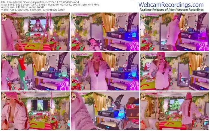 cams-aspenpeeks-11-28-2024-00-48-05