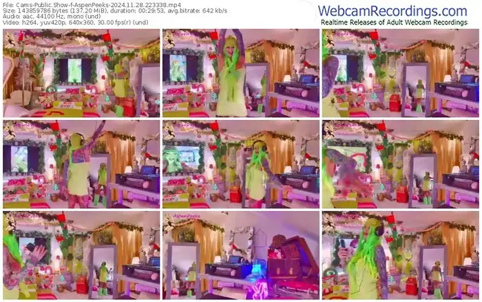 cams-aspenpeeks-11-28-2024-22-33-38