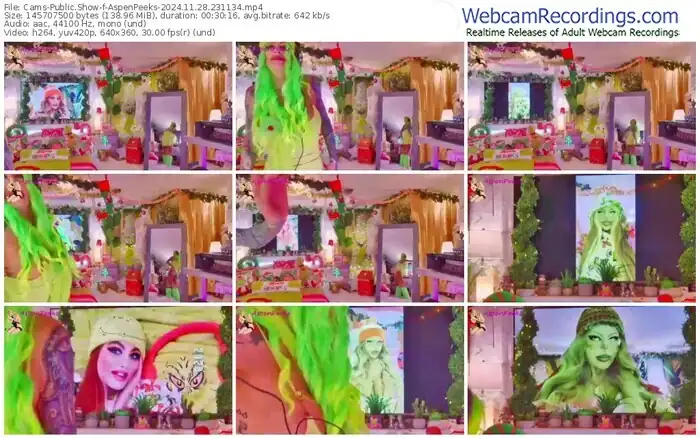 cams-aspenpeeks-11-28-2024-23-11-34