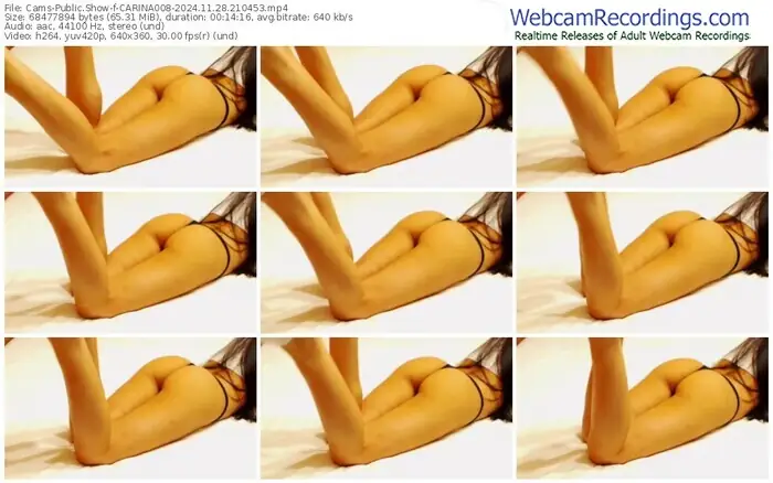 cams-carina008-11-28-2024-21-04-53