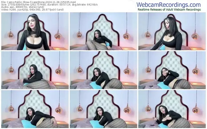 cams-lasestone-11-28-2024-22-59-35