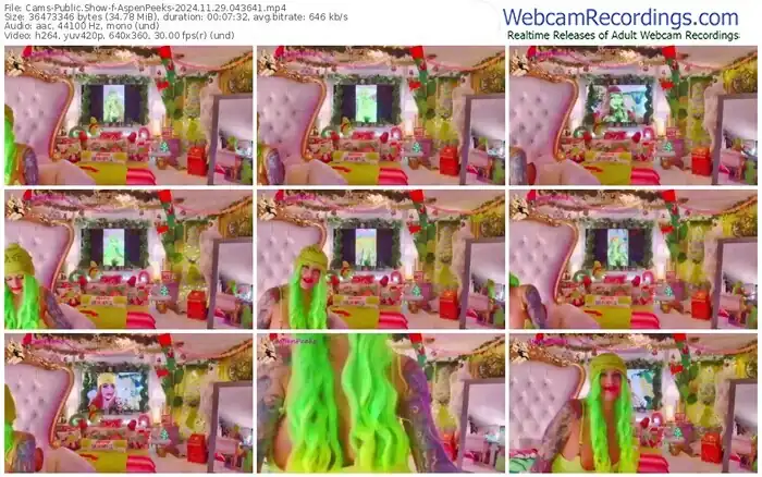 cams-aspenpeeks-11-29-2024-04-36-41