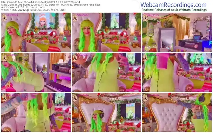 cams-aspenpeeks-11-29-2024-07-20-28