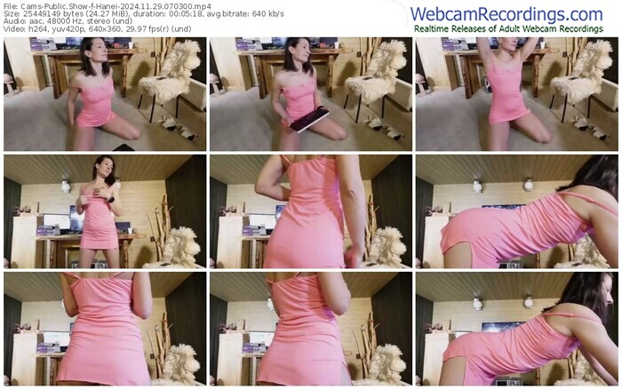 cams-hanei-11-29-2024-07-03-00