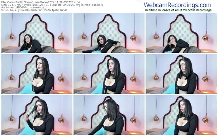 cams-lasestone-11-29-2024-03-07-26