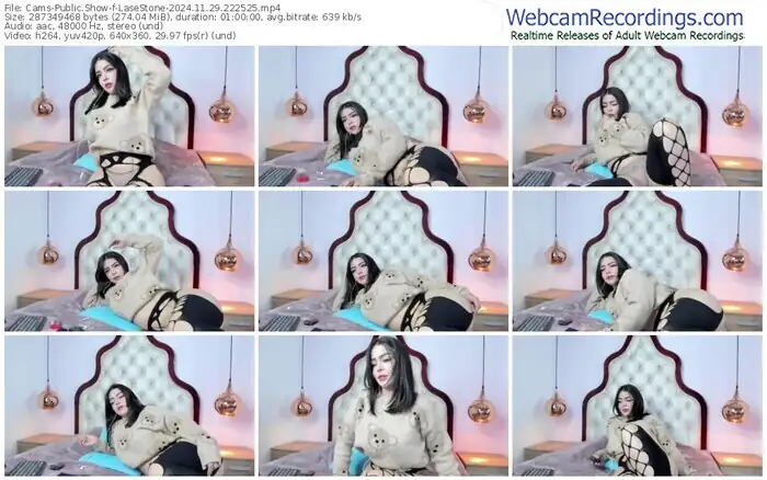 cams-lasestone-11-29-2024-22-25-25