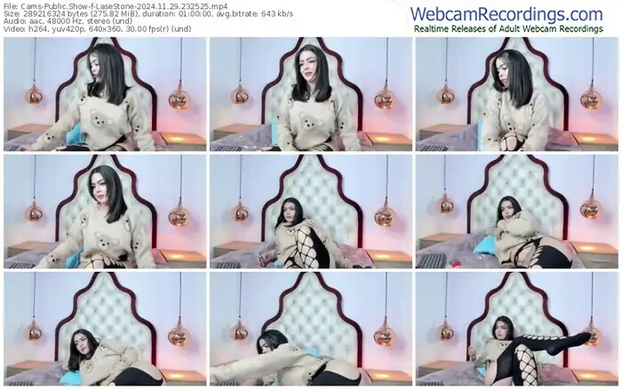cams-lasestone-11-29-2024-23-25-25