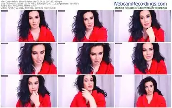 cams-perfectits-11-29-2024-14-57-43