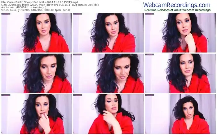 cams-perfectits-11-29-2024-14-57-43