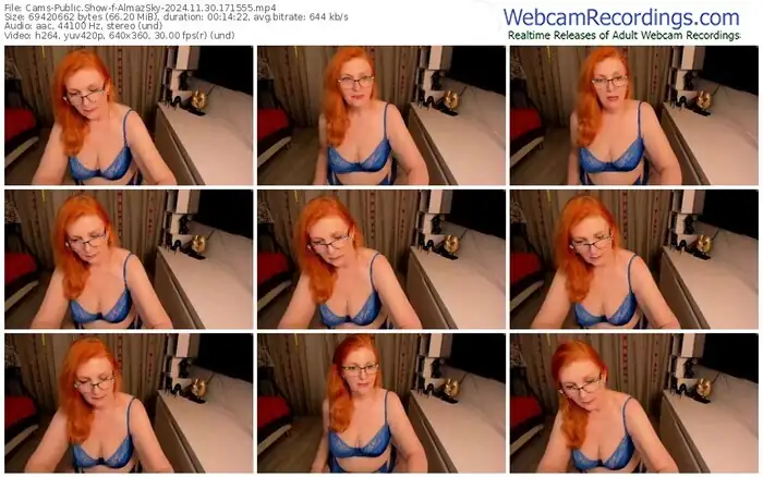 cams-almazsky-11-30-2024-17-15-55