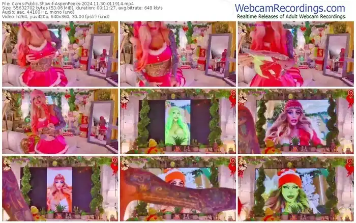 cams-aspenpeeks-11-30-2024-01-19-14