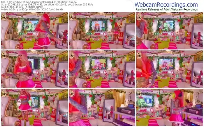 cams-aspenpeeks-11-30-2024-02-57-18