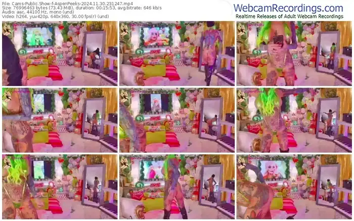 cams-aspenpeeks-11-30-2024-23-12-47