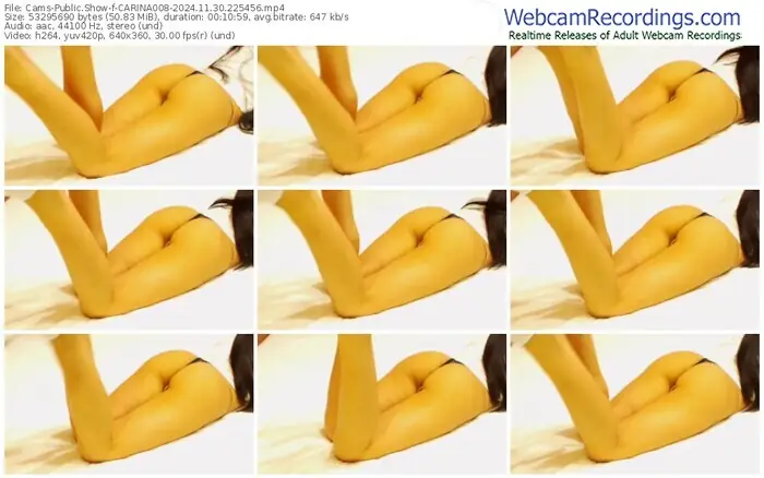 cams-carina008-11-30-2024-22-54-56