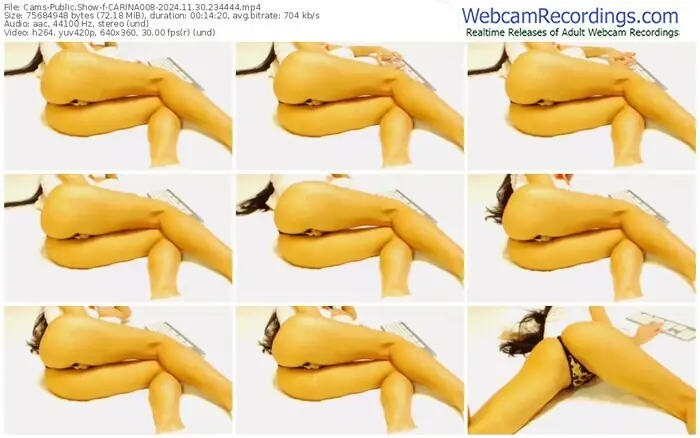 cams-carina008-11-30-2024-23-44-44