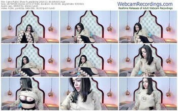 cams-lasestone-11-30-2024-00-54-15