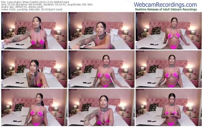 cams-aaris-12-01-2024-08-45-43